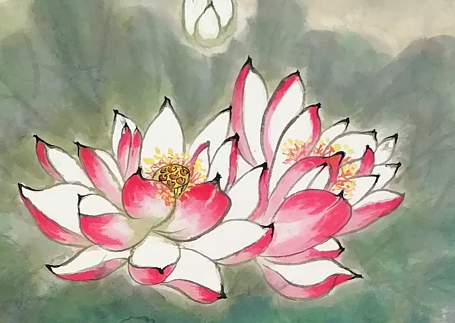 The pink lotus, finely outlined, its petal tips touched with red.