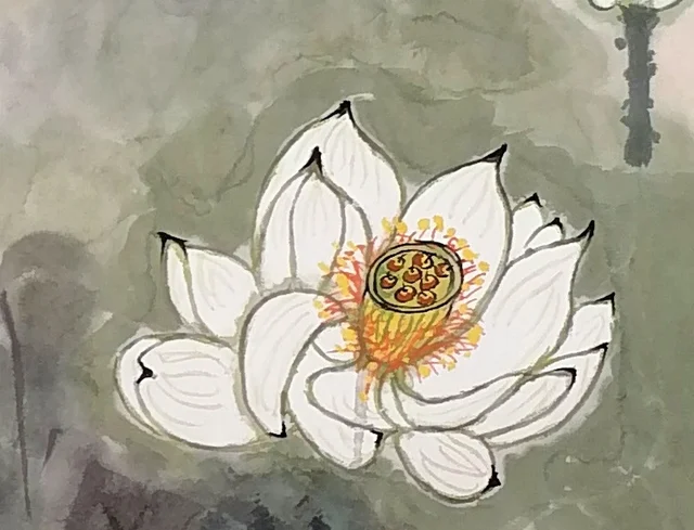 The white lotus, its heart dotted in yellow.