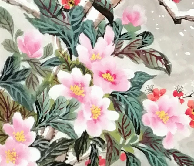 Pink and white camellias among deep green leaves.