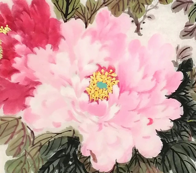 A great pale pink peony, soft yet firmly formed.