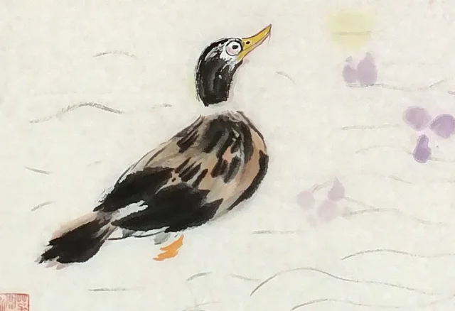 The second waterbird swimming up; fine lines for the water.