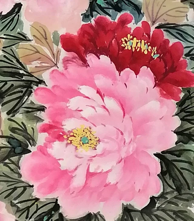 Deep red and pink peonies together.