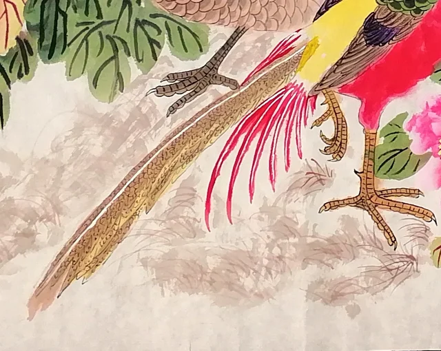 The male’s long tail sweeping over a lightly brushed bank.