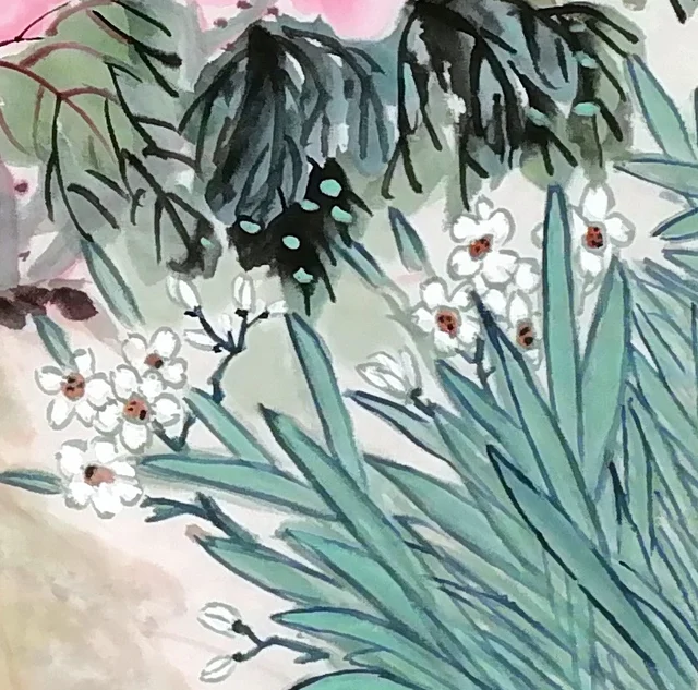 Narcissus: small white flowers above long, fanning leaves.