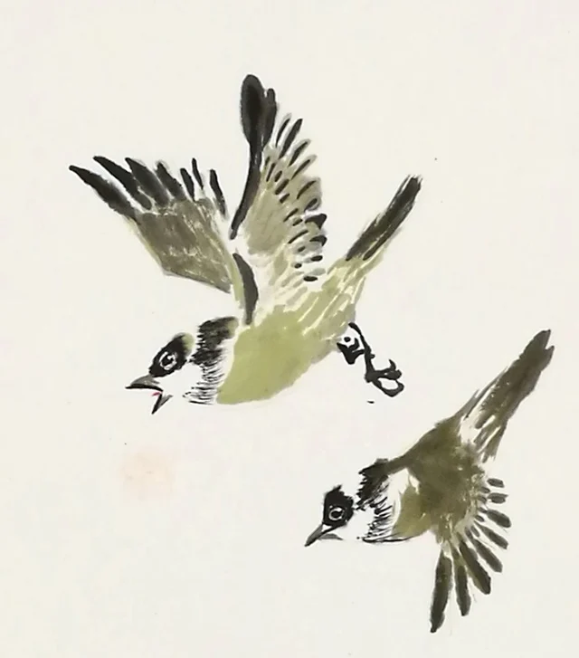 Two bulbuls swooping down, one behind the other.