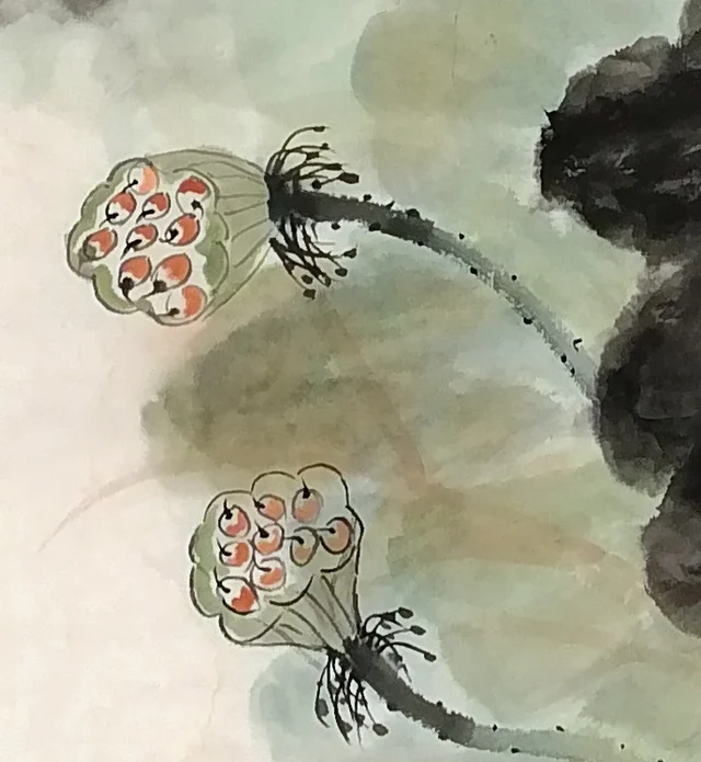 Two lotus seed-pods hanging their heads.