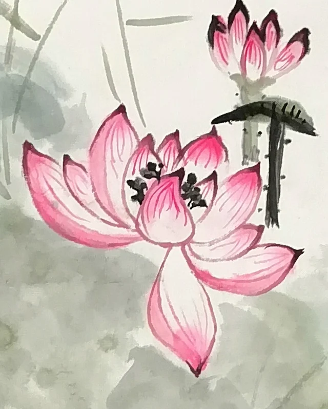 A pink lotus with rouge at its petal tips.