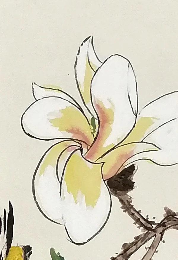 A magnolia at the branch tip, touched with yellow.
