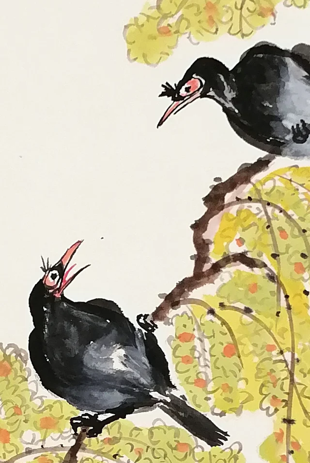Two black mynas, one looking back, one singing.