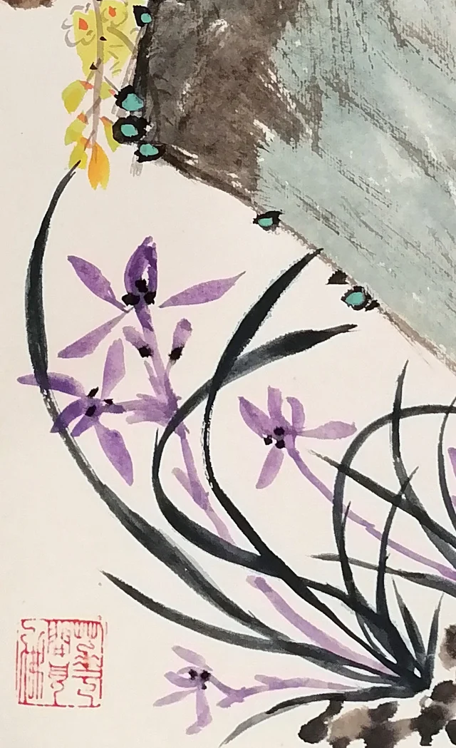Purple orchids with ribbon-like leaves.