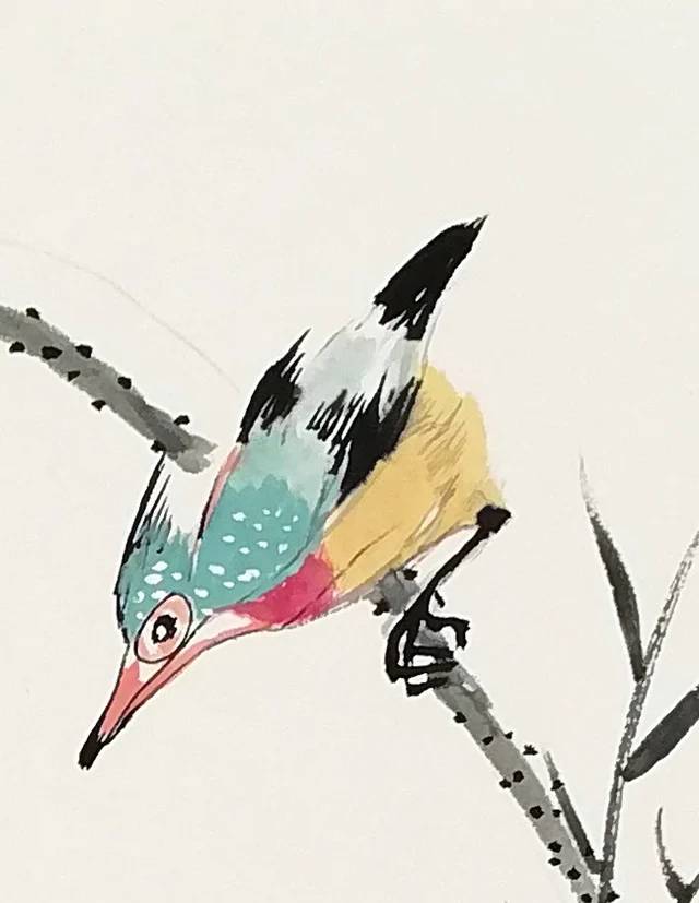 A kingfisher on a reed, looking down.