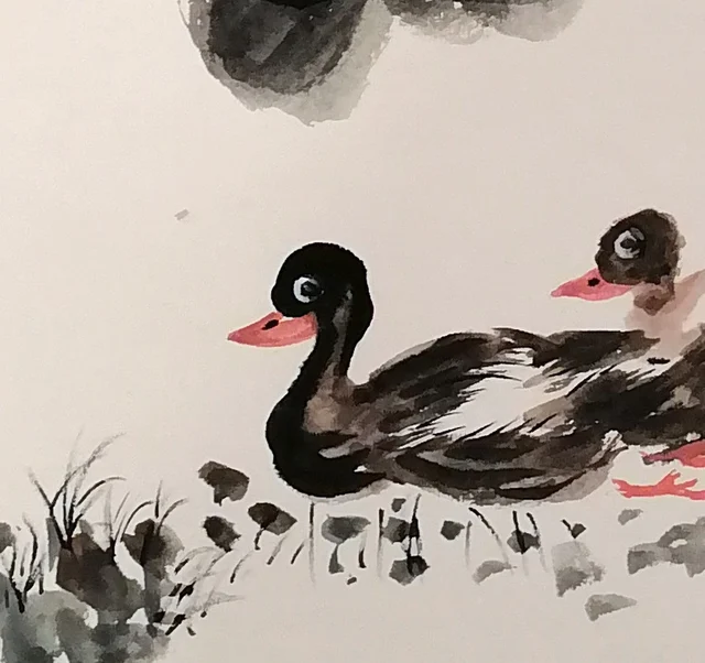 A pair of ducks swimming at ease.