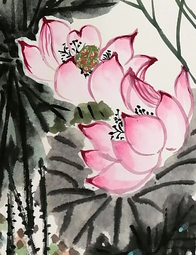 The open pink lotus, rouge fading from tip to base.