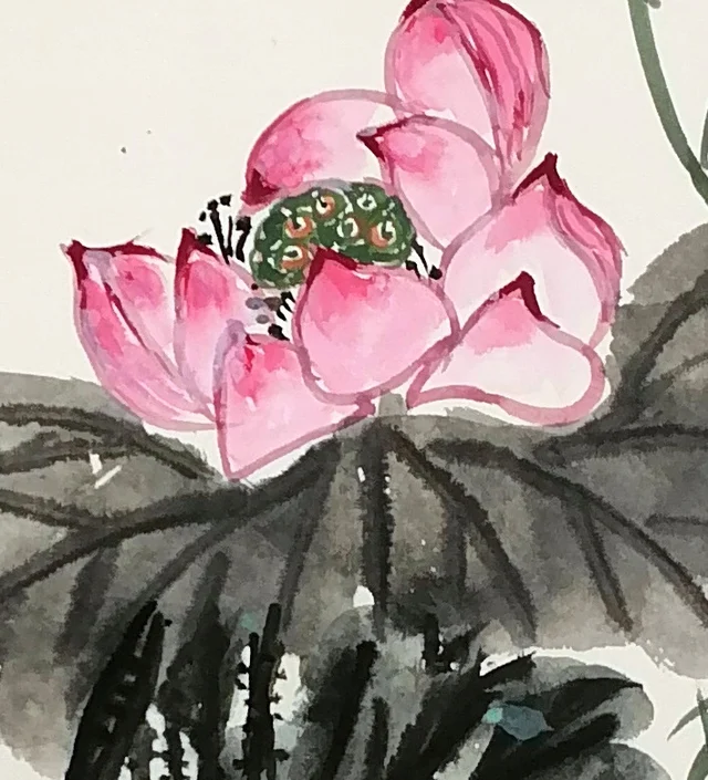 The half-open lotus, its seed-pod just showing.