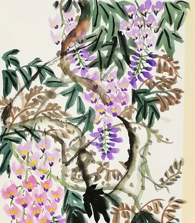 Hanging clusters of wisteria with yellow centres.