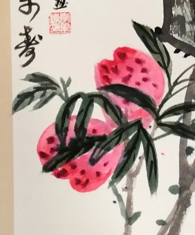 Two peaches below the rock among long leaves.