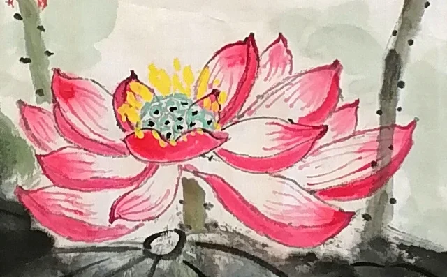 The pink lotus and its full seed-pod.