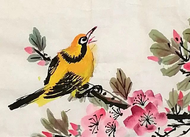 An oriole lifting its head to sing.