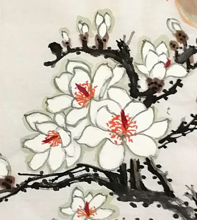 White magnolias outlined in pale ink, with red stamens.