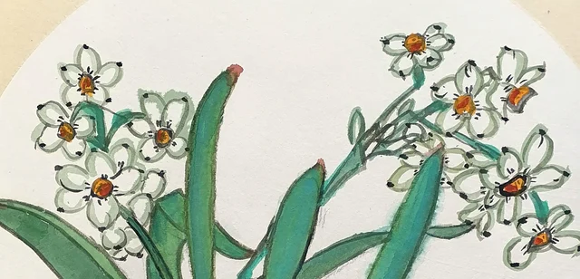 Narcissus flowers with orange centres.