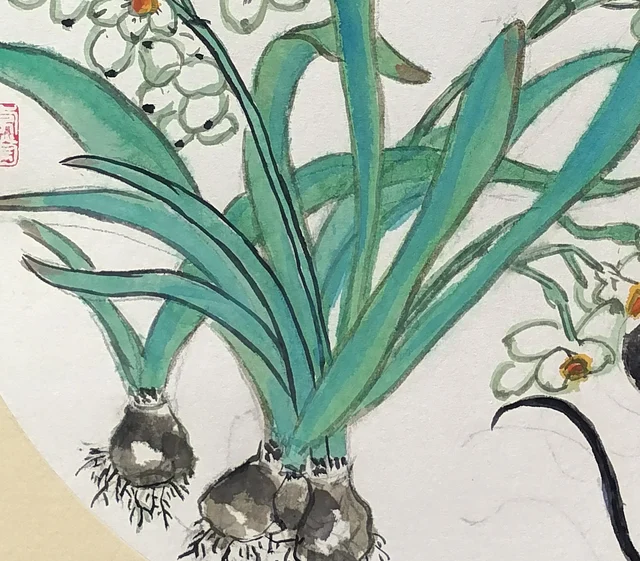 The bulbs and long green leaves.