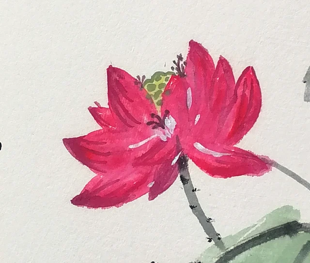 The red lotus, painted without outline.