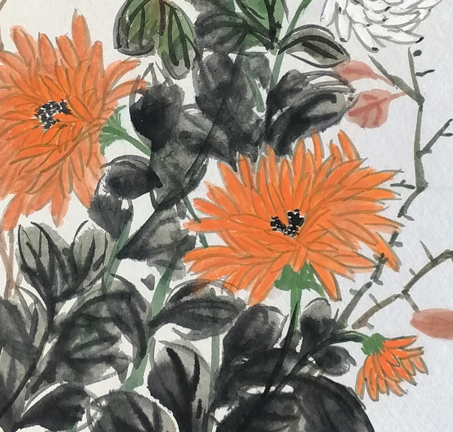 Orange chrysanthemums with long curling petals.