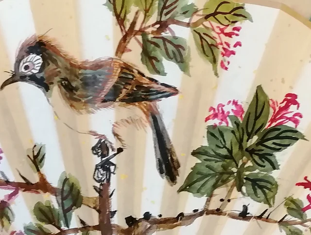 The small bird standing and looking back.