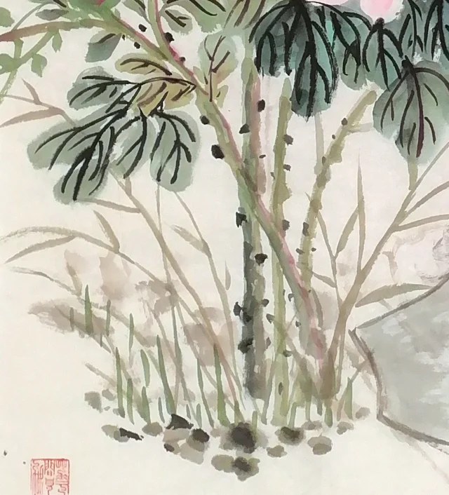 Upright peony stems among fine grasses.