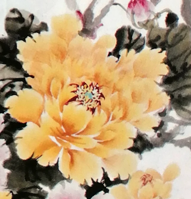A golden peony, its petals fading from orange to pale yellow.