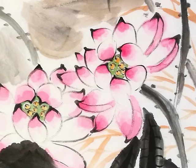 Pink lotus, the petal tips touched with rouge.