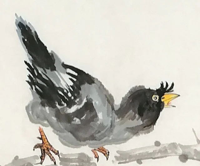 A myna on the upper branch, neck stretched as it calls.
