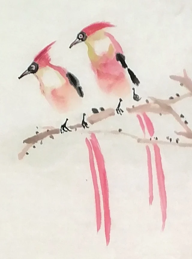 The pair of paradise flycatchers, tails like ribbons.