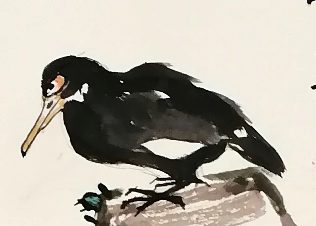 The myna on the rock, leaning down to look.