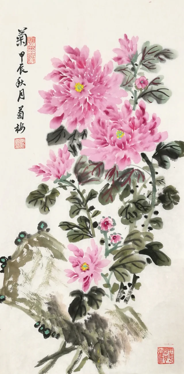 Chrysanthemum: pink blooms above a mossy rock.