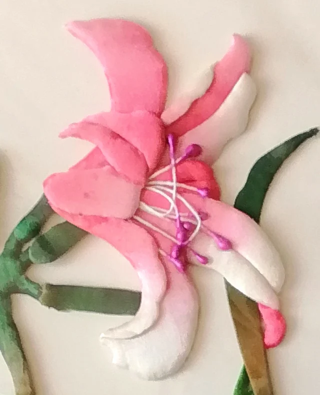 The pink lily, shading to white, with magenta-tipped stamens.