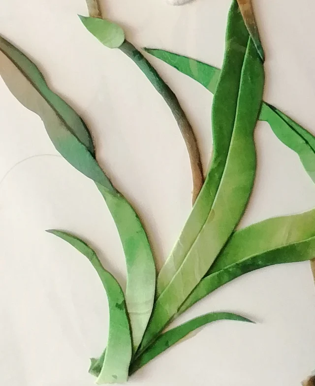 Long leaves dyed from fresh green to yellowish brown.